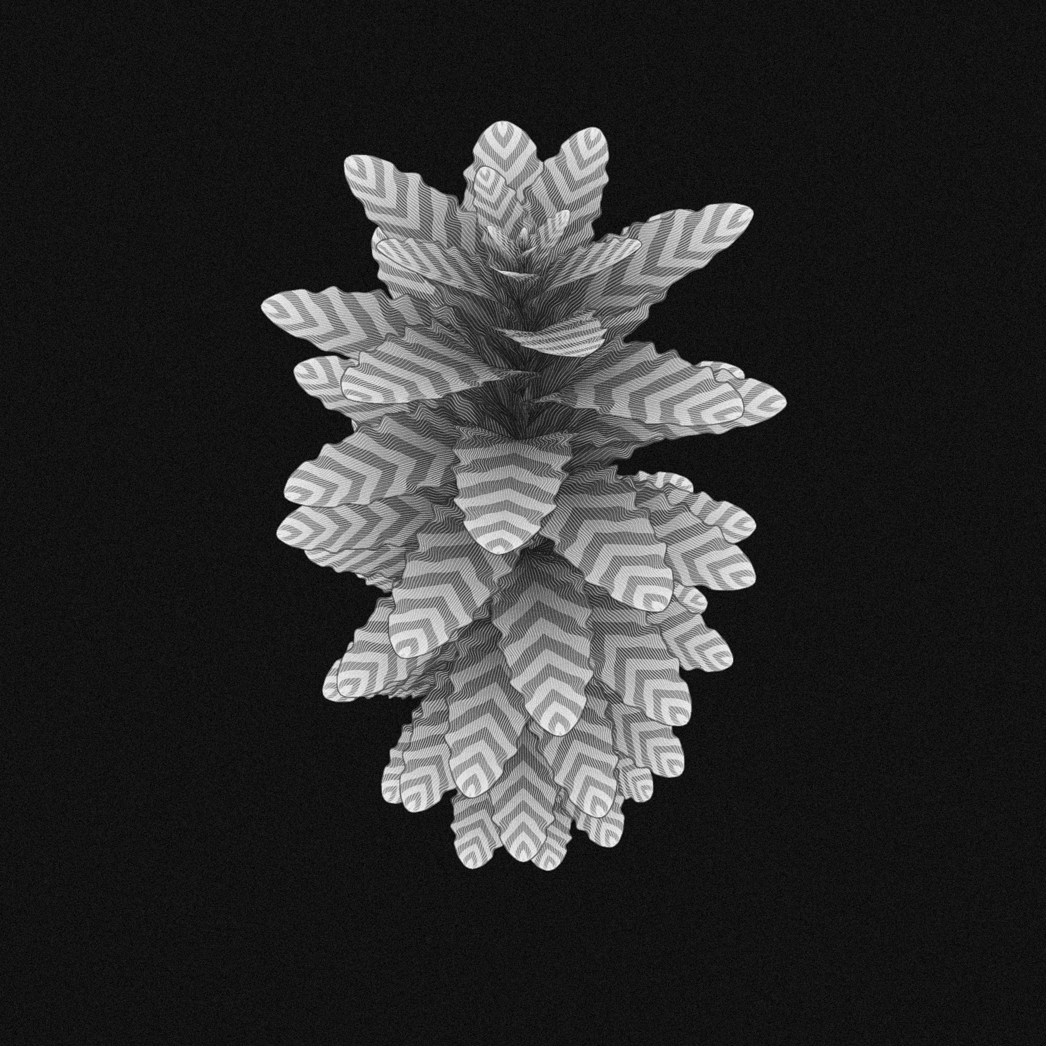 plant #4 static token preview