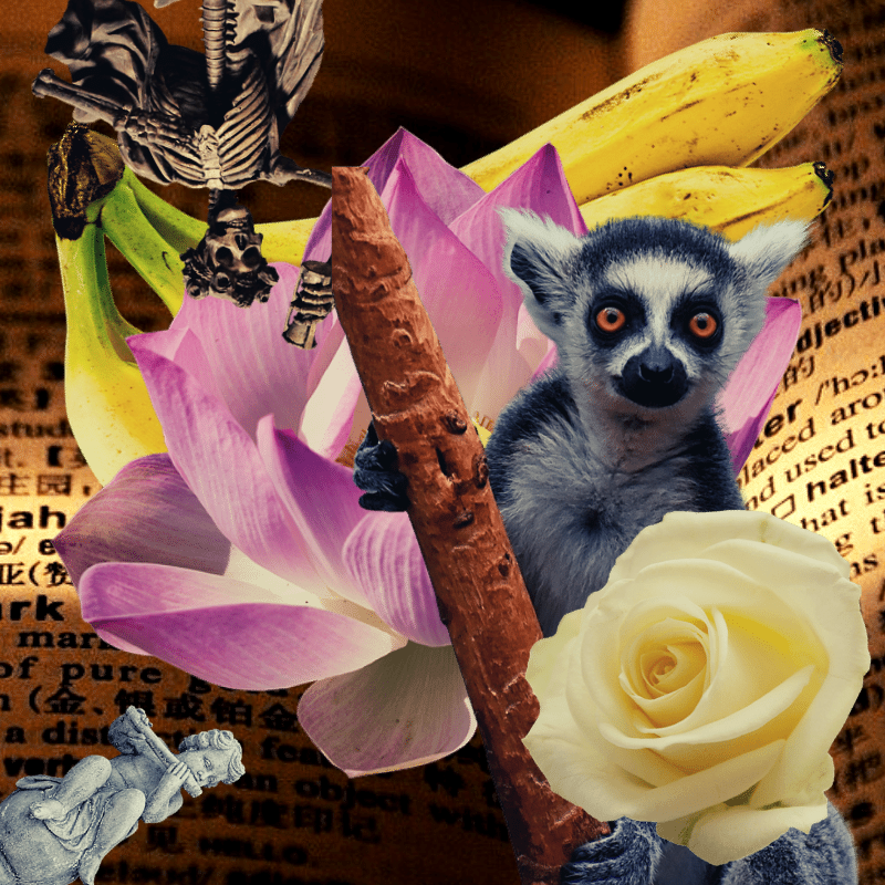 Banana flower #20 static token preview