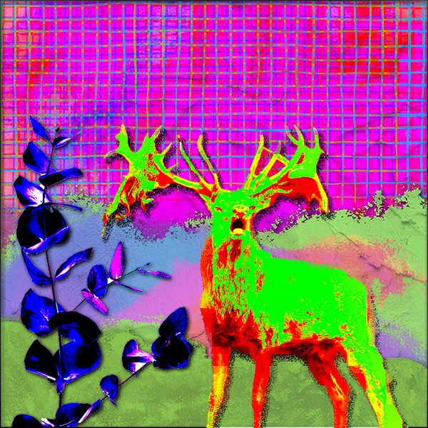Saccharine Biomes: Hills #24 static token preview