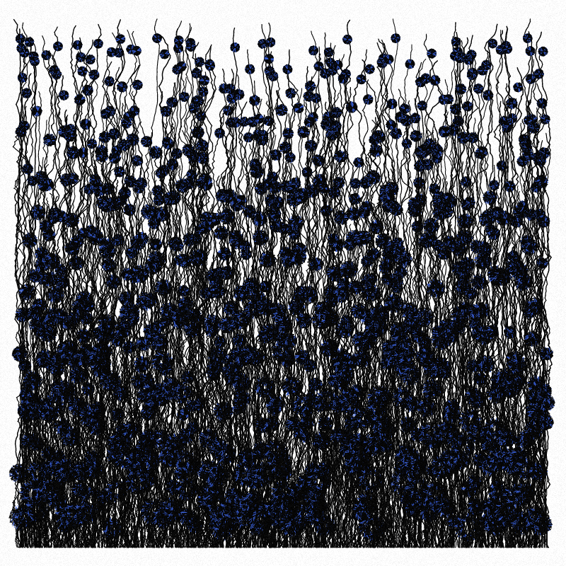 Cornflowers #11 static token preview
