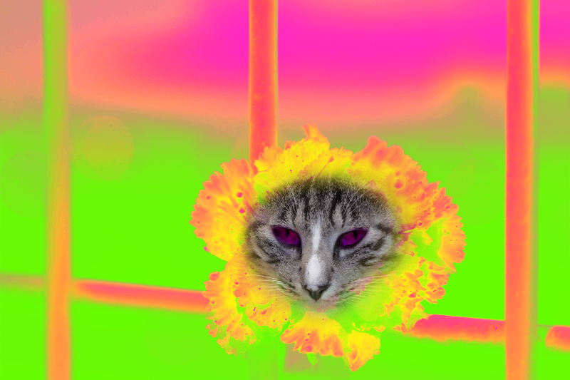 Flowering Cat #19 static token preview