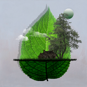 Live in Nature project preview