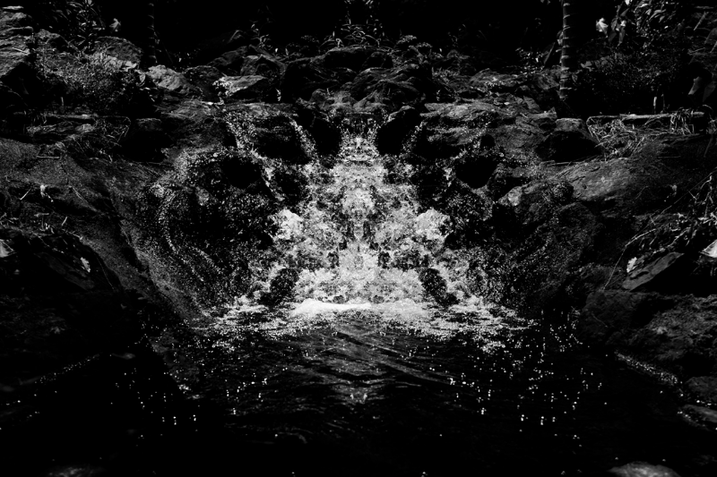 chasing waterfalls #19 static token preview