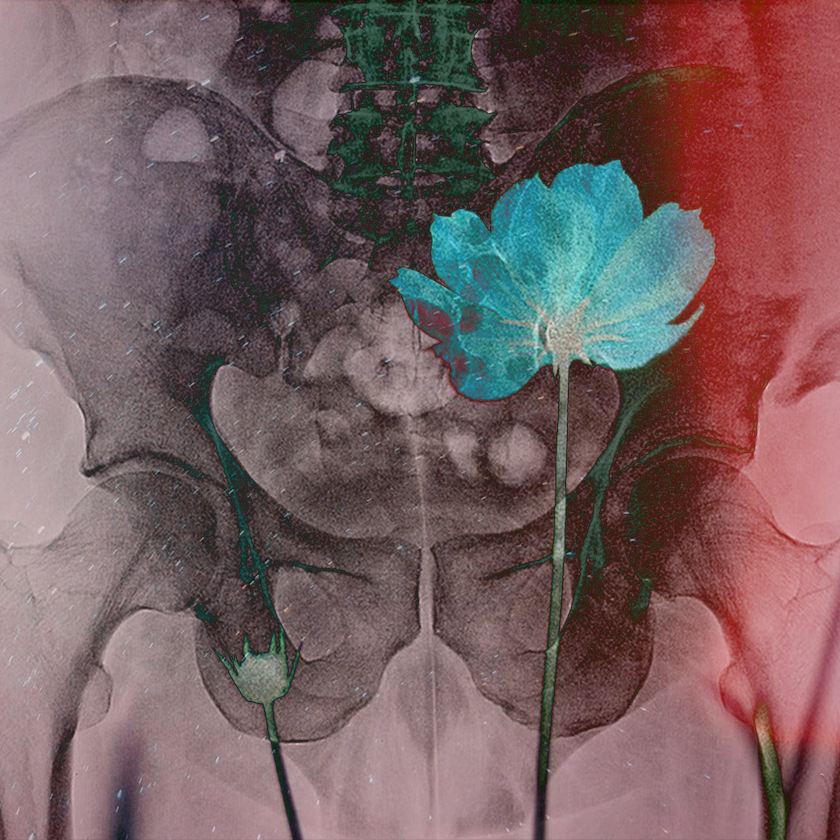 flowers and death #17 static token preview