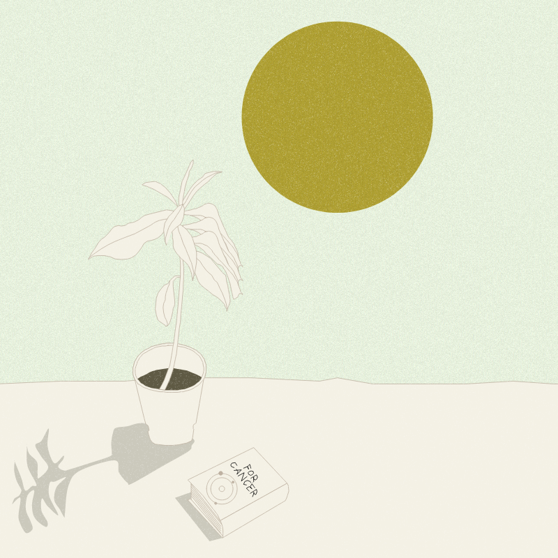 Still Life #12 #20 static token preview