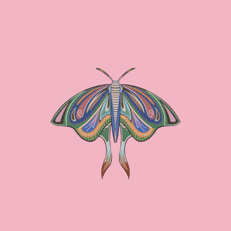 The Moth Experiment 2.0 P1 #9 static token preview