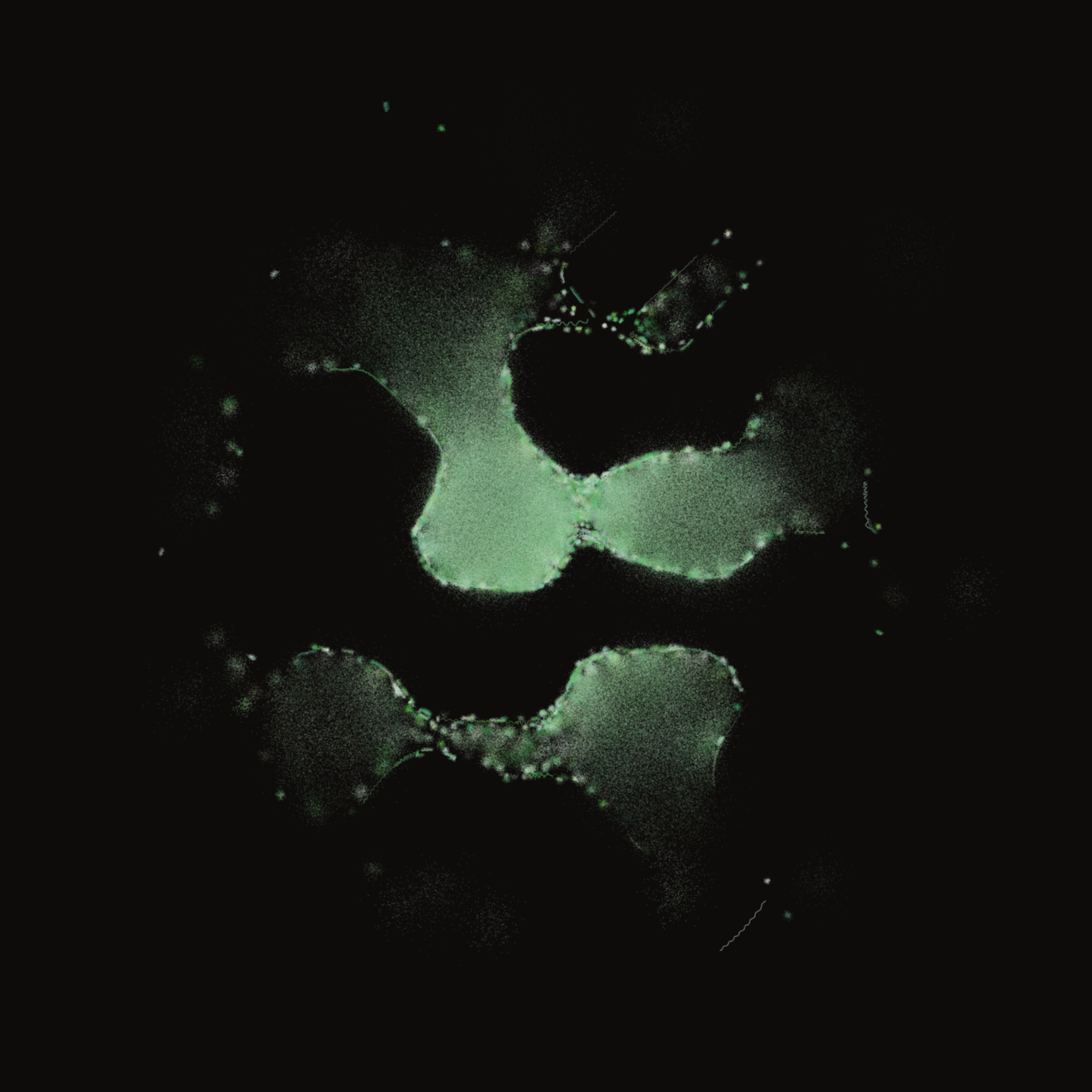 Membrane #6 static token preview