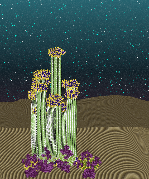Cactigen #14 static token preview