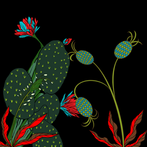 Desert Exuberance project preview