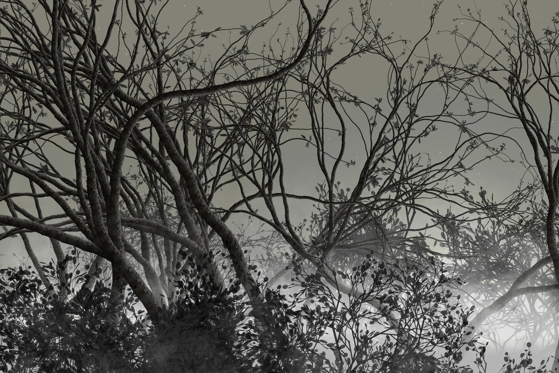 Morning Mist #155 static token preview