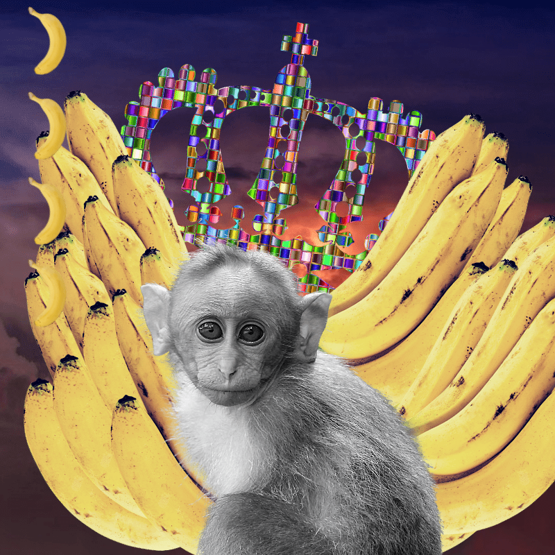 Banana gods #17 static token preview