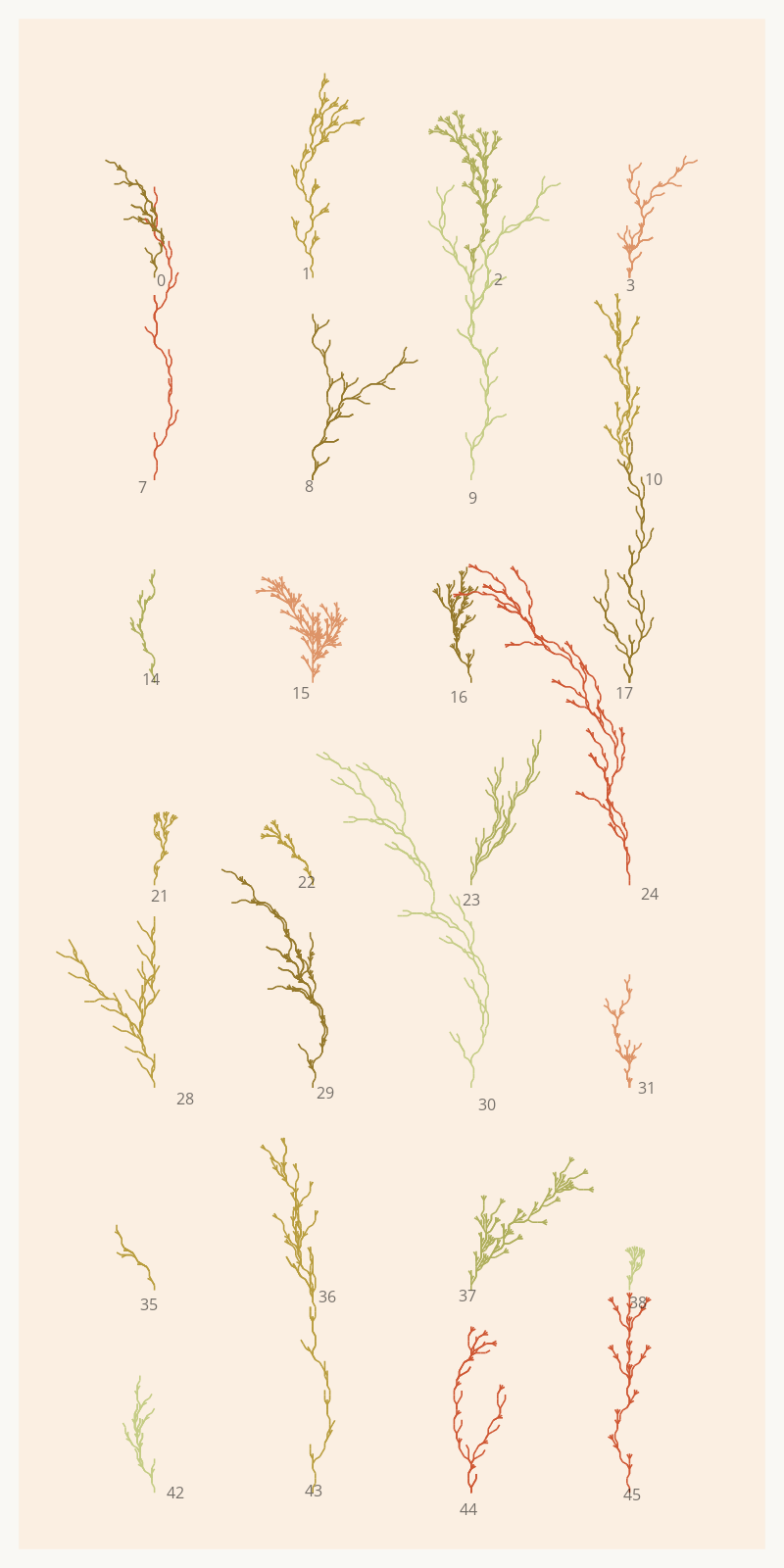 Seaweed Study #13 static token preview