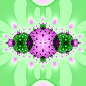 Julia Fractal Inversion project preview