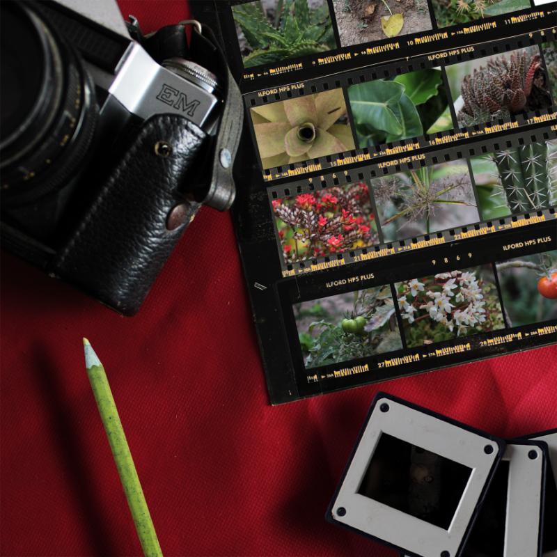 Contact Sheet #16 static token preview
