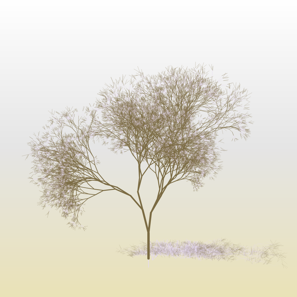 Hanami #24 static token preview