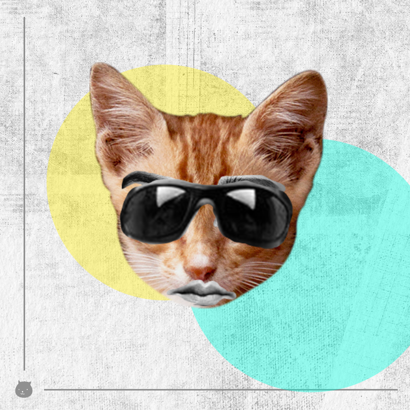 Kittenstein #4 static token preview