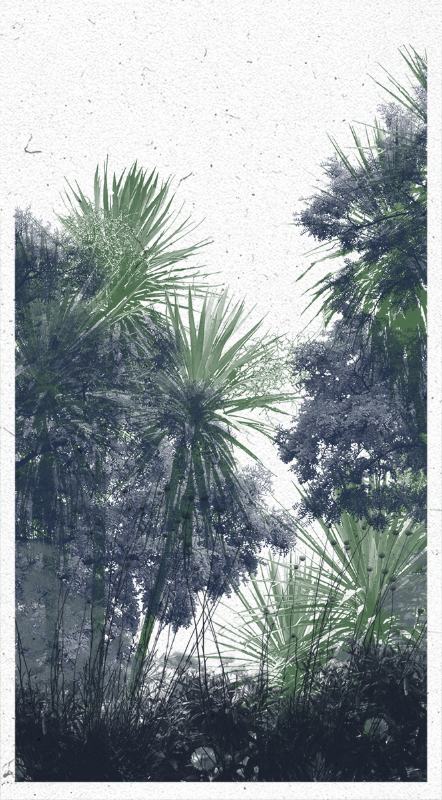 Life in the forest! #24 static token preview