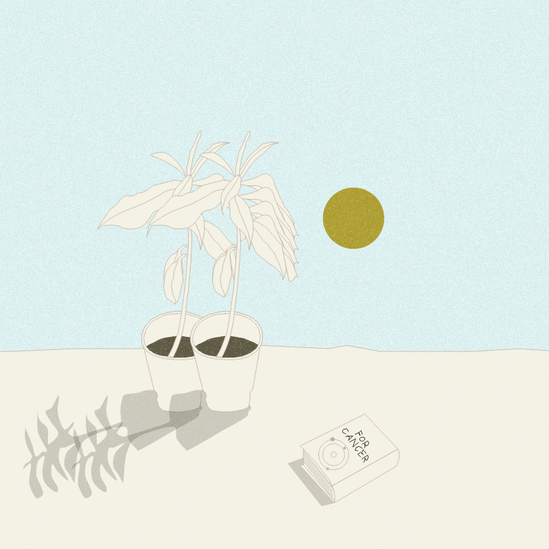 Still Life #12 #13 static token preview