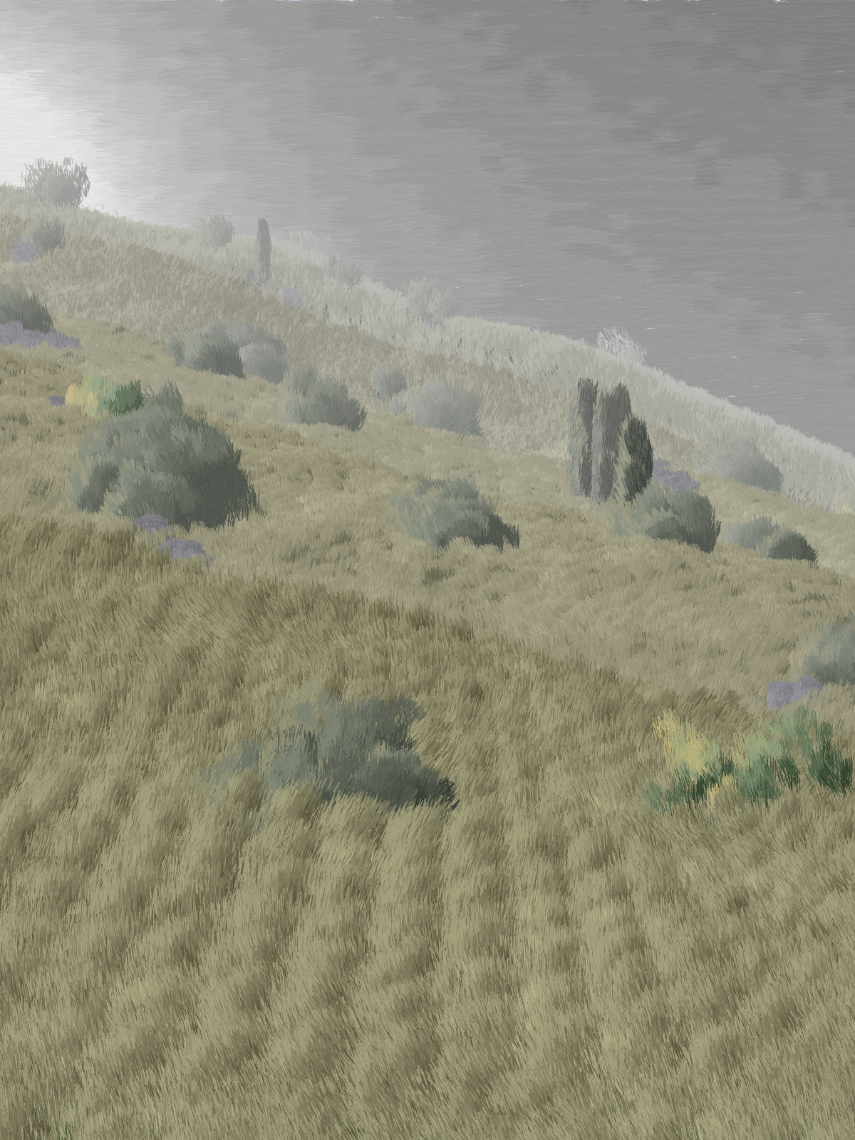 Provence #17 static token preview