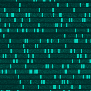 Genome hash Analysis project preview