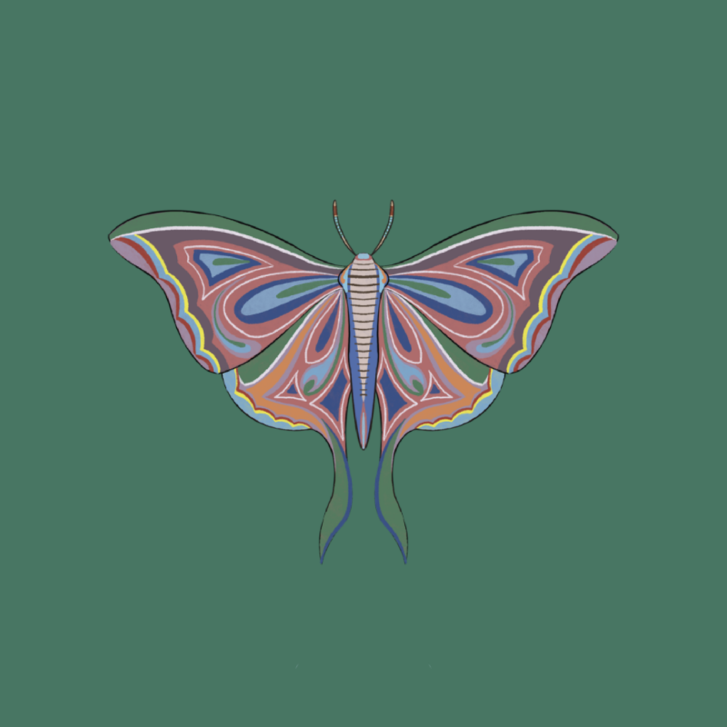 The Moth Experiment 2.0 P2 #13 static token preview