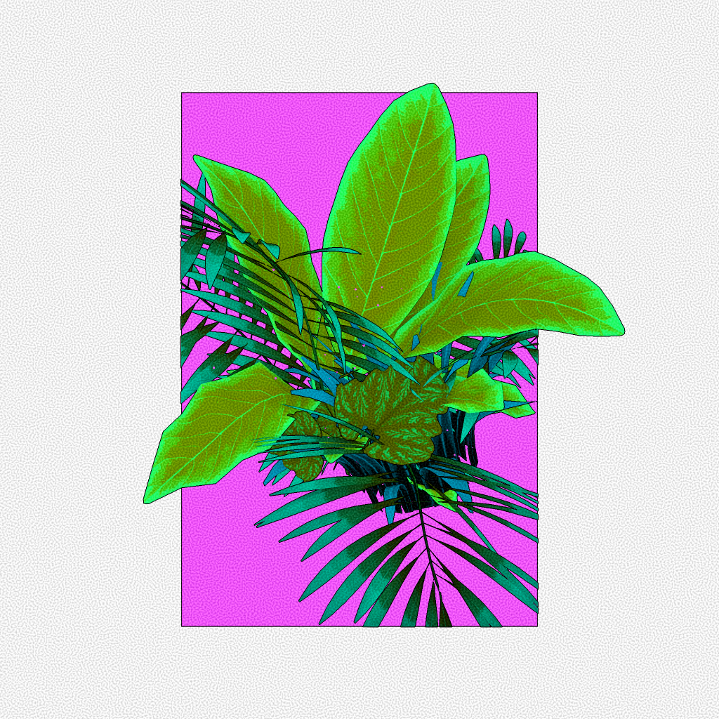 Botany #23 static token preview