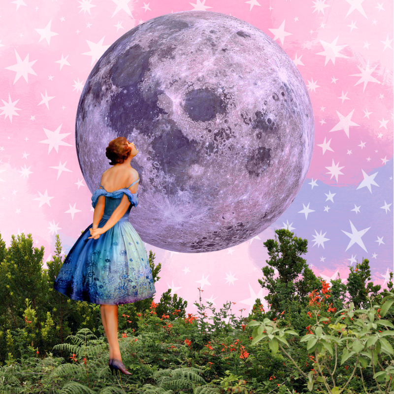 Pink Moon #2 static token preview