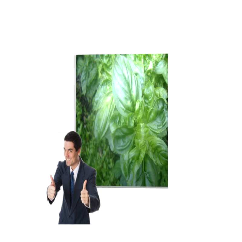 ART BASIL 2022 #20 static token preview
