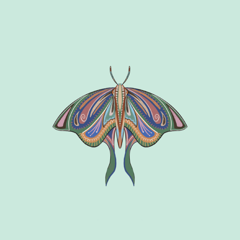The Moth Experiment 2.0 P2 #19 static token preview