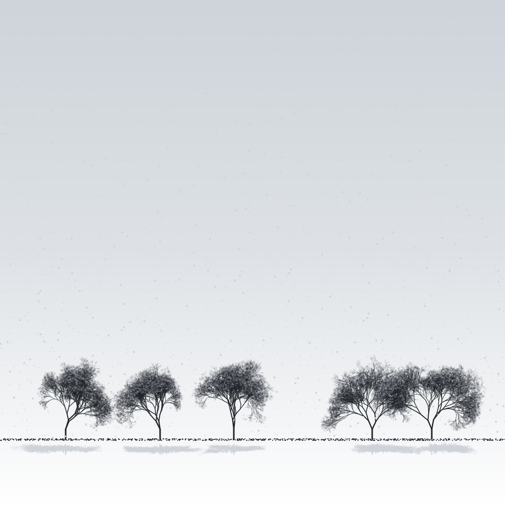 Sakuras in the snow #17 static token preview