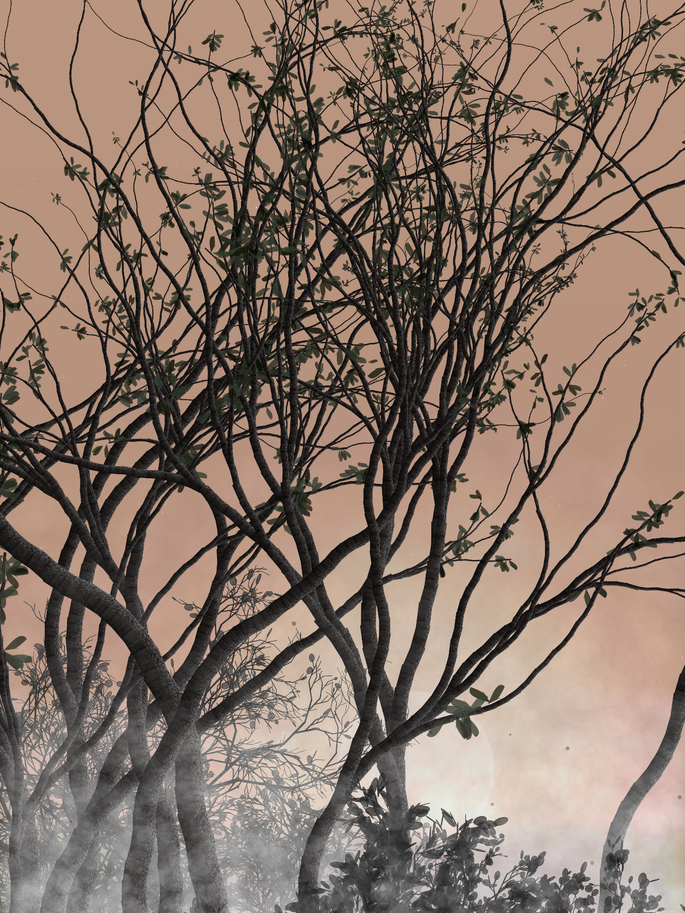 Morning Mist #151 static token preview