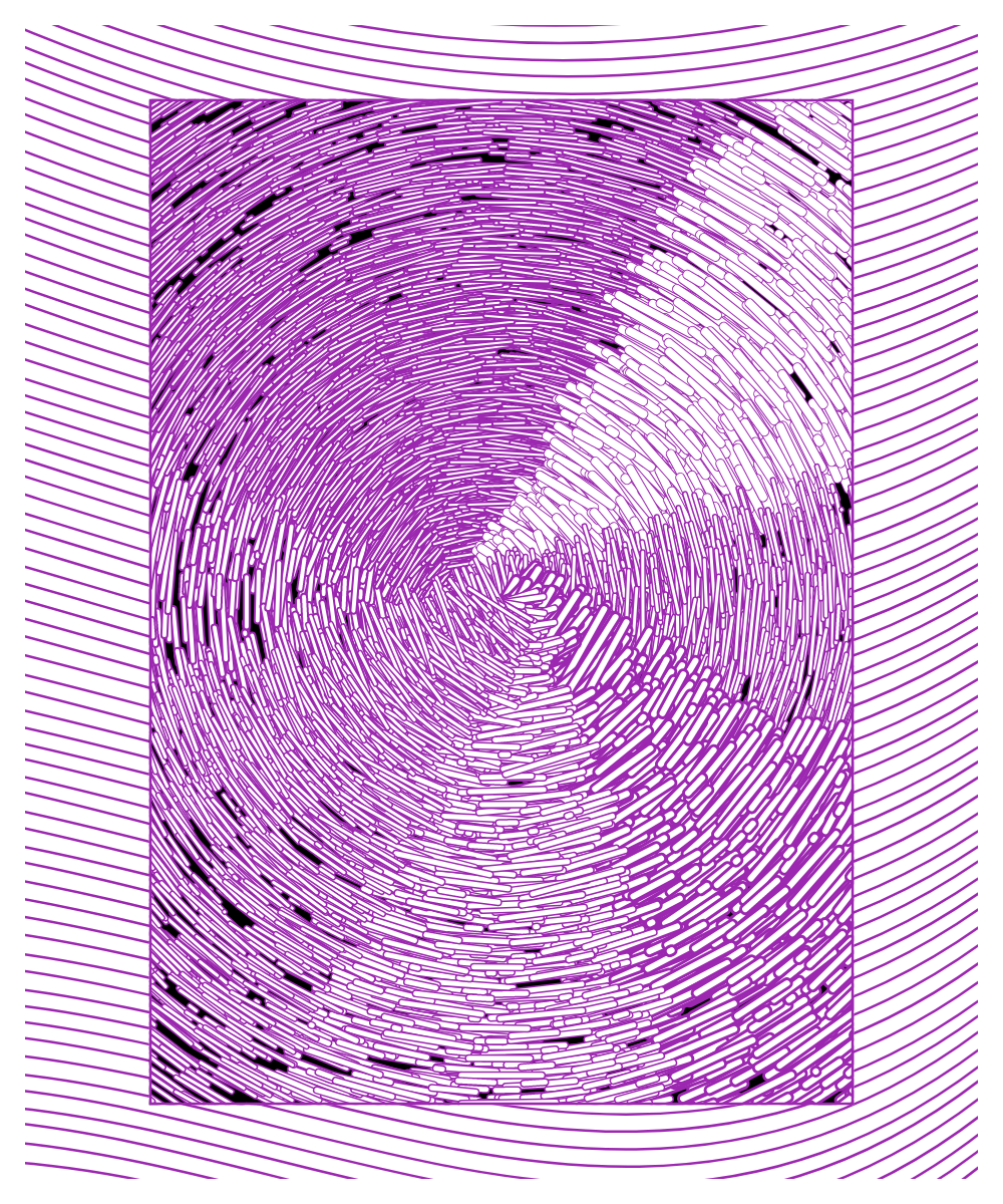 Daily experiments 08.02.2024 #20 static token preview