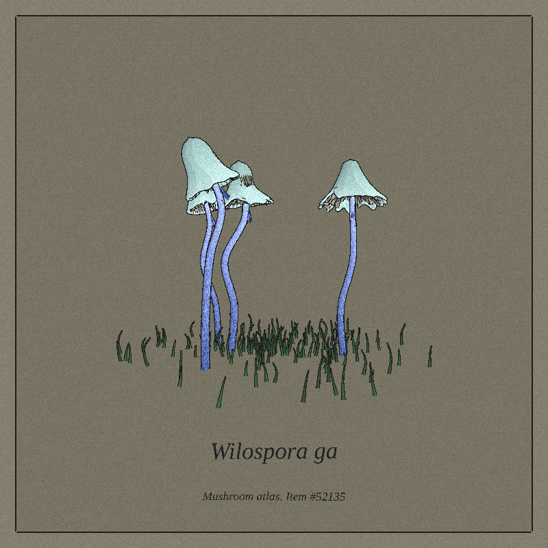 Mushroom Atlas #18 static token preview