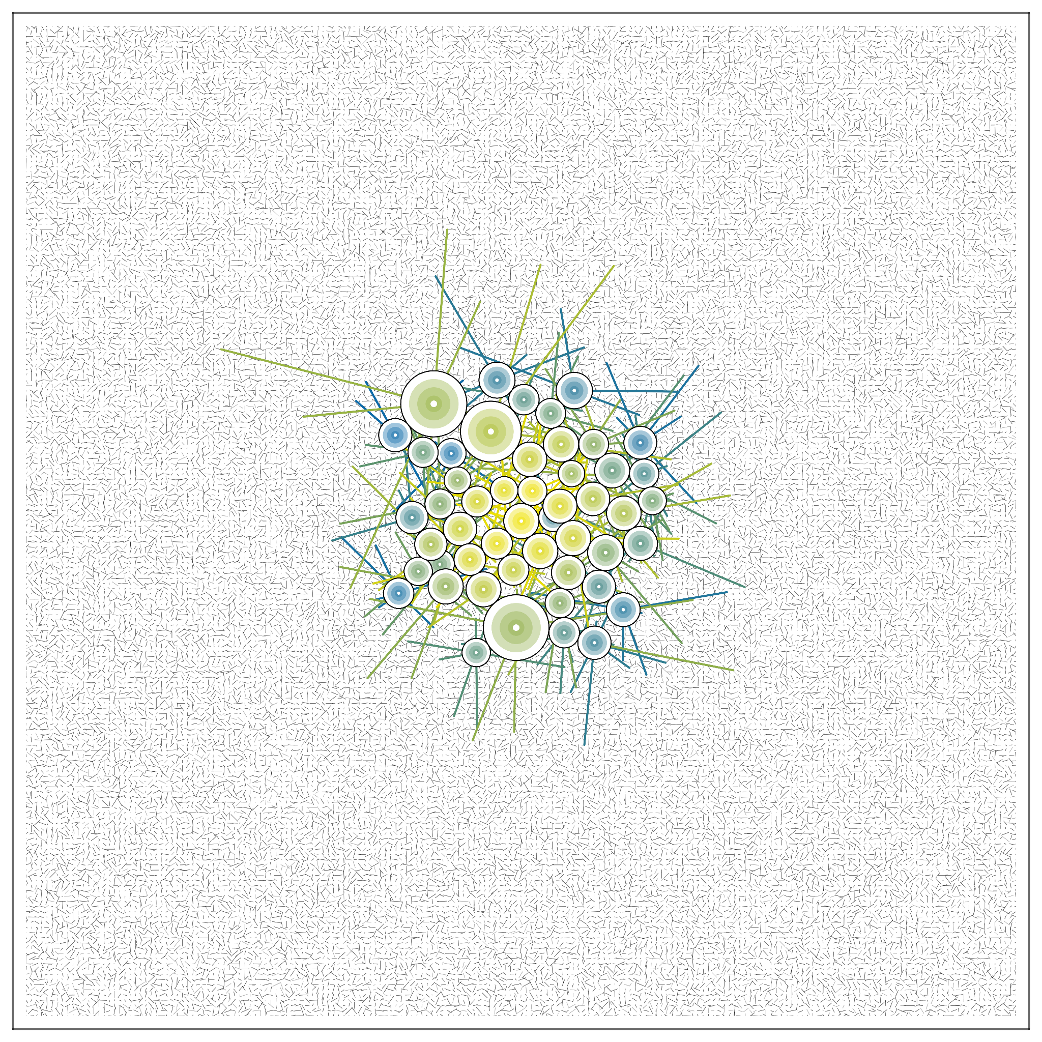 T#6Z#O #17 static token preview