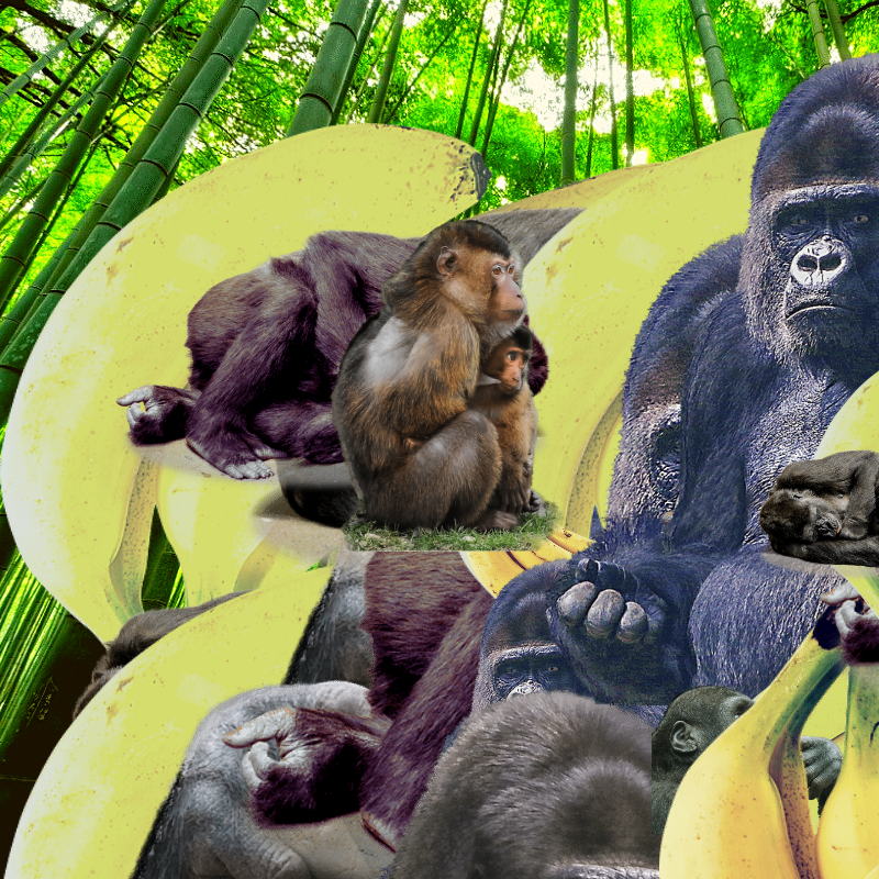 Banana #1 #2 static token preview