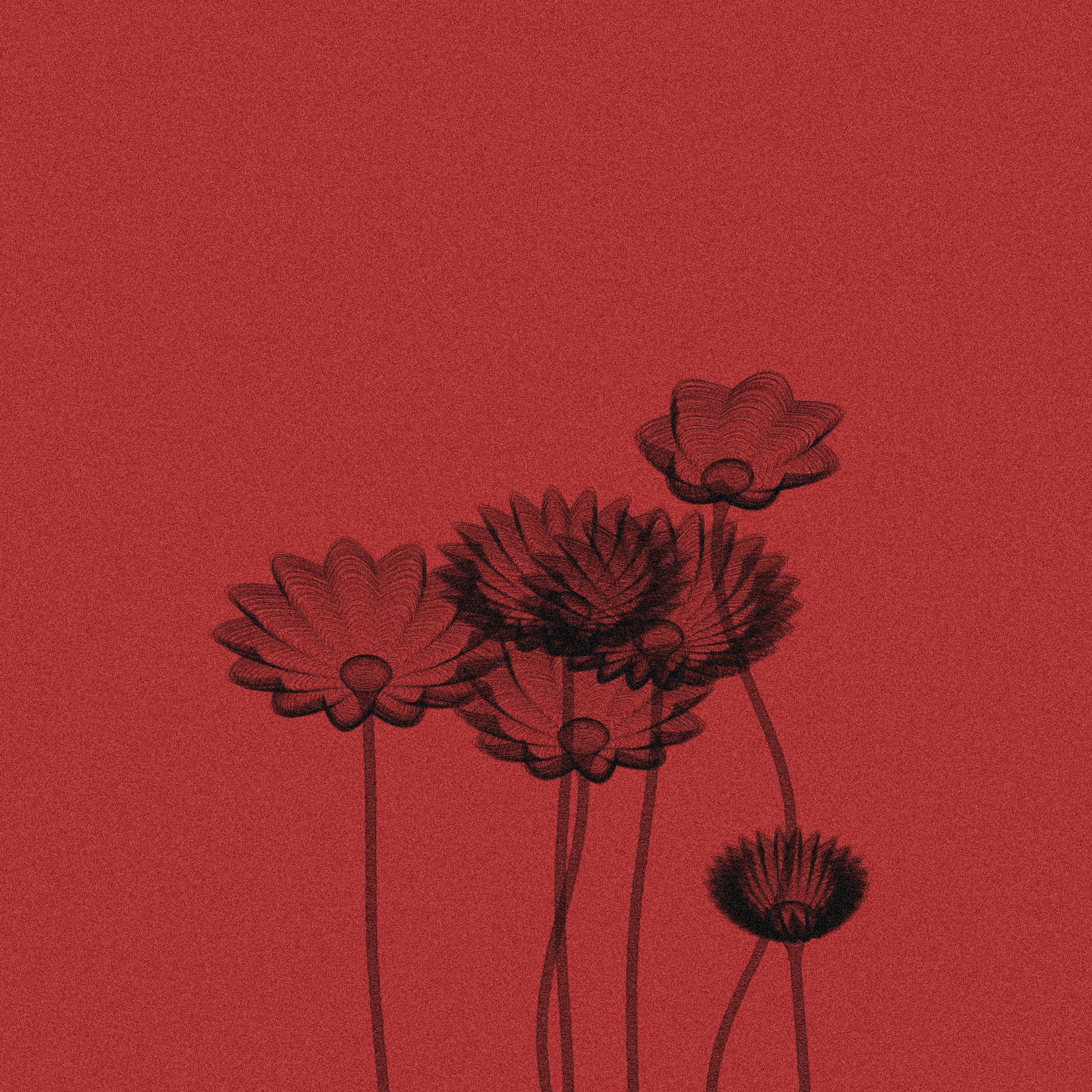 Code Flowers #6 static token preview