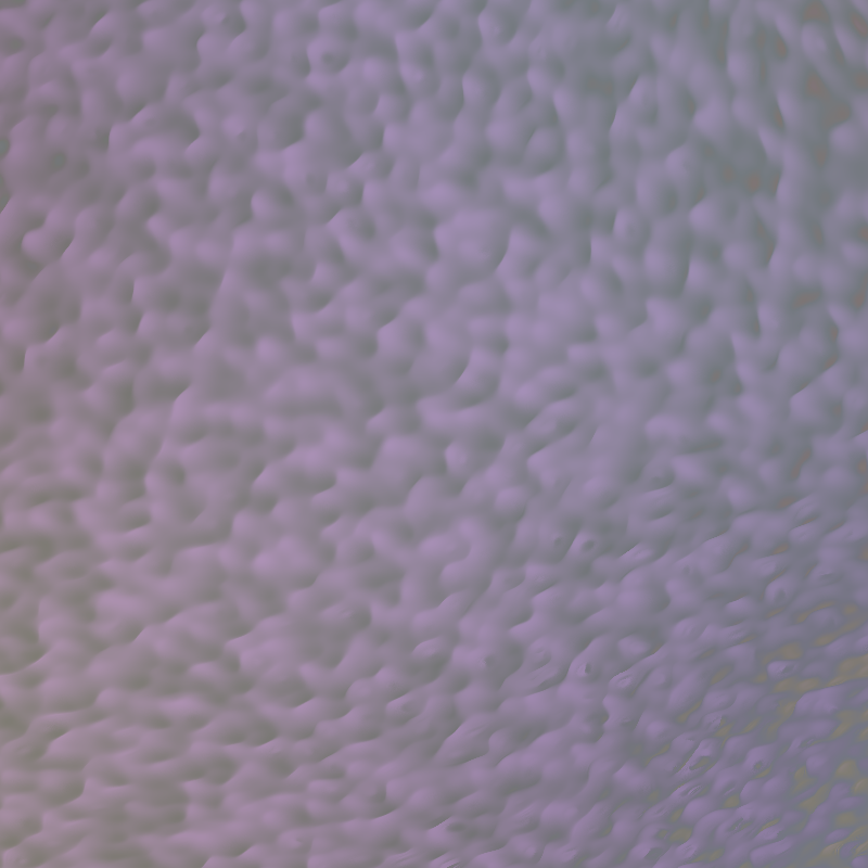 Noise Corals #4 static token preview