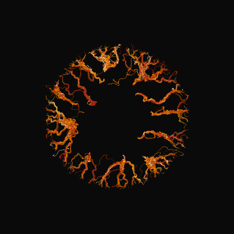 Ginseng #7 static token preview