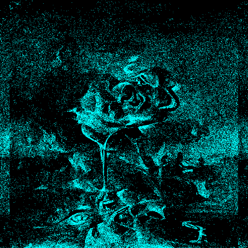 QUANTUM*FLOWERS #4 static token preview