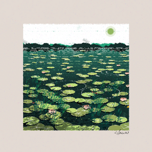 Lilies project preview