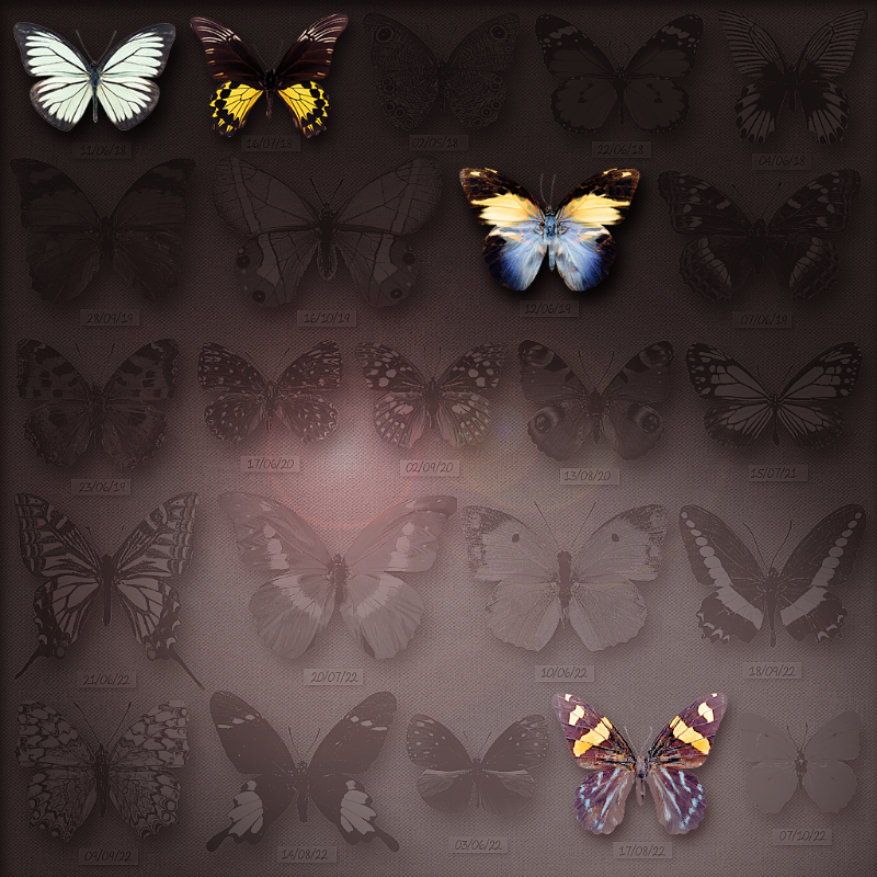 Save Butterfly World #17 static token preview