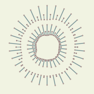 needles project preview