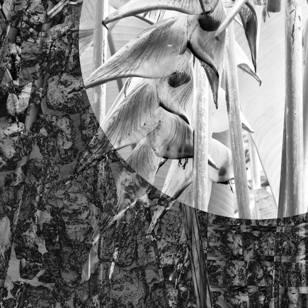 Subjective photography #1 #7 static token preview