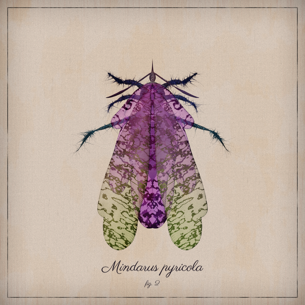 ProcGen Entomology #291 static token preview