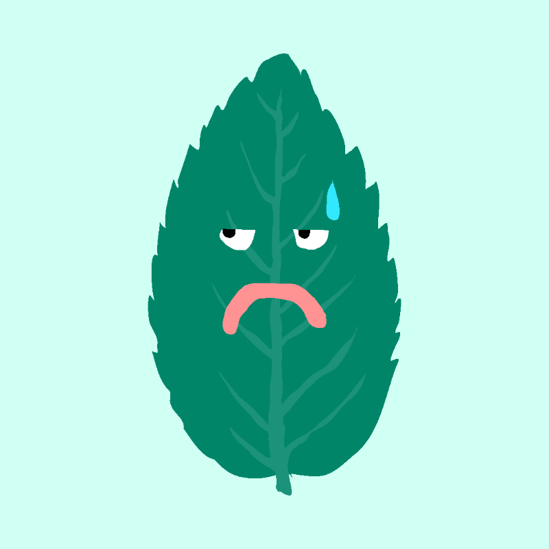 FREE MINT ! #6 static token preview
