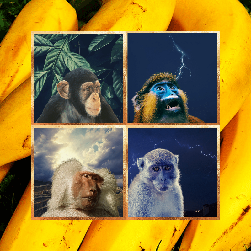 Banana legends #15 static token preview