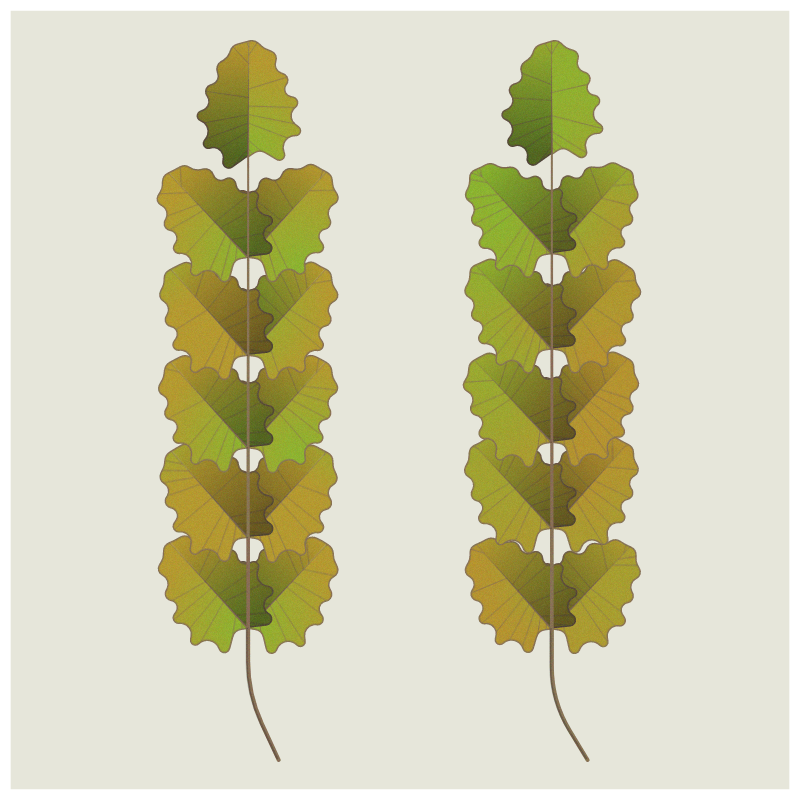 Leaves #13 static token preview
