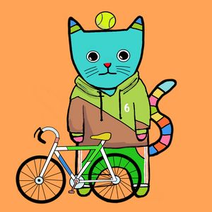 Sports cat project preview