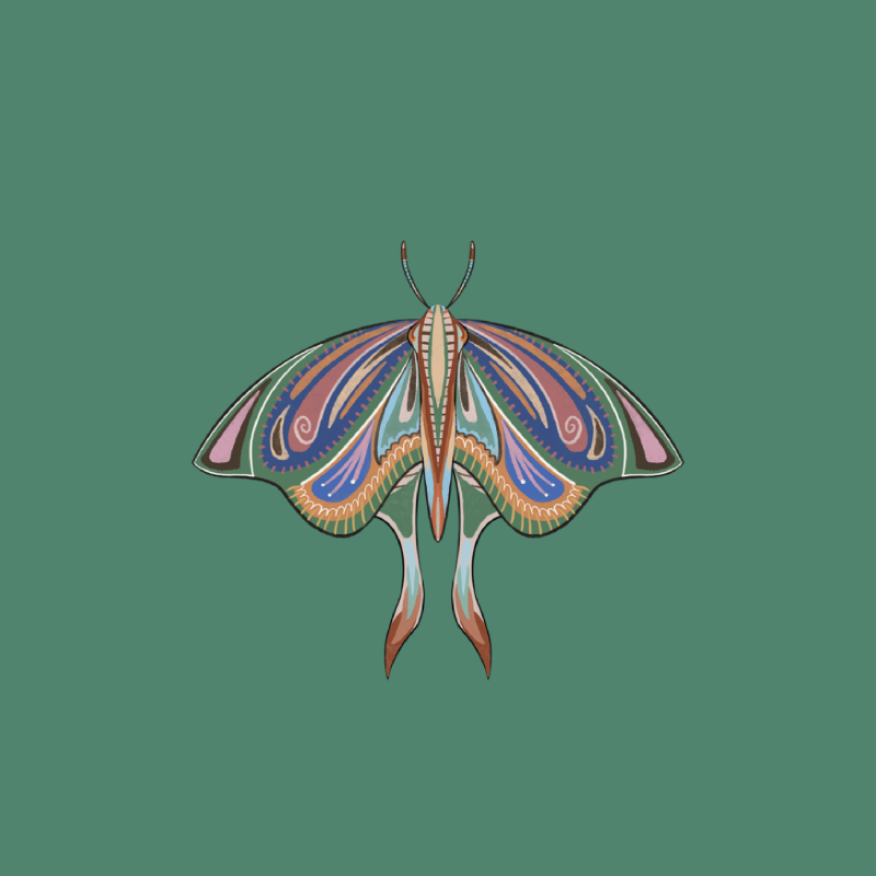 The Moth Experiment 2.0 P2 #19 static token preview