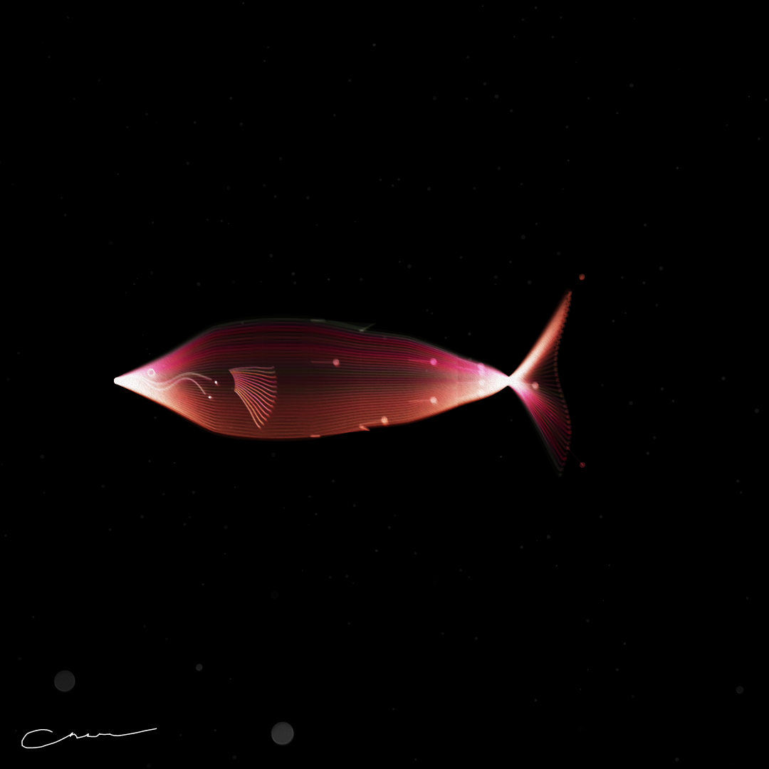 SoulFish #246 static token preview